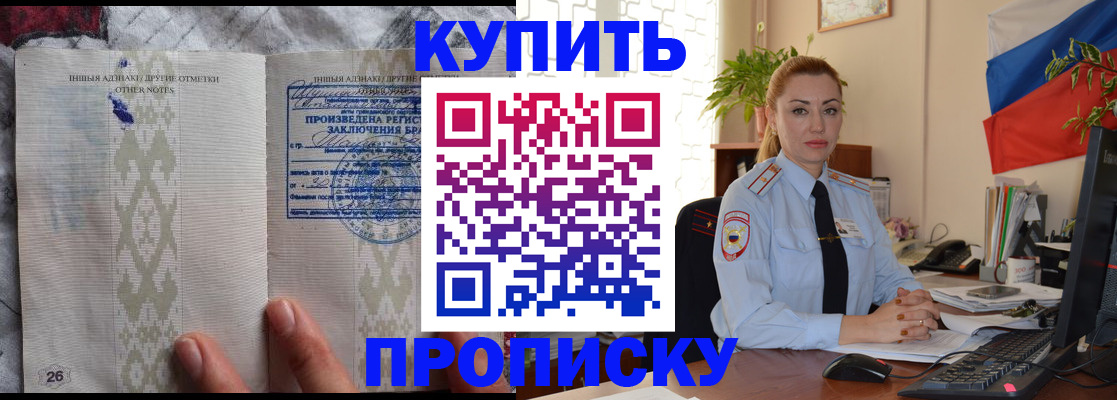 прописка поиск в Бородино